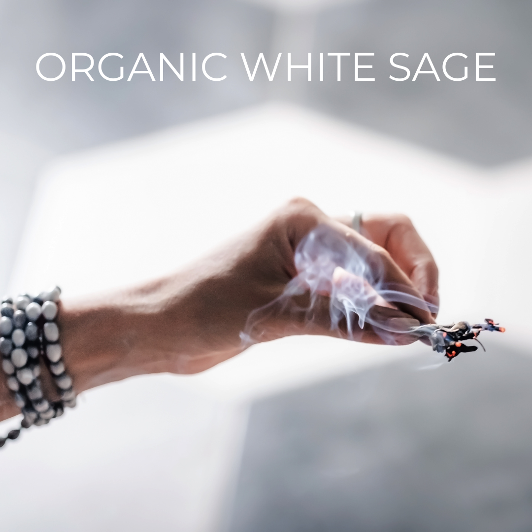 Organic White Sage Smudge Stick For Cleansing, Purification, Yoga, Meditation